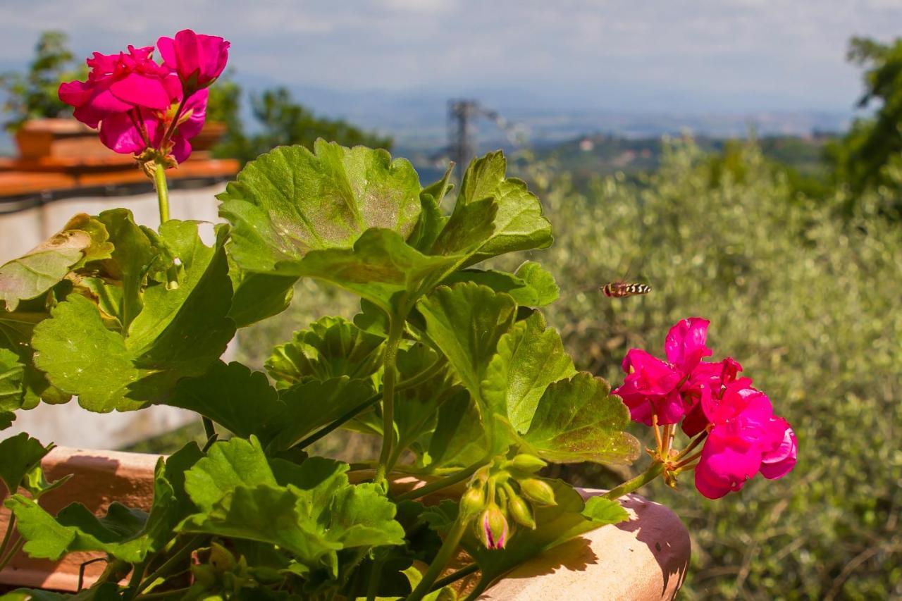 Poggio Della Roverella Country House Morlupo Екстериор снимка